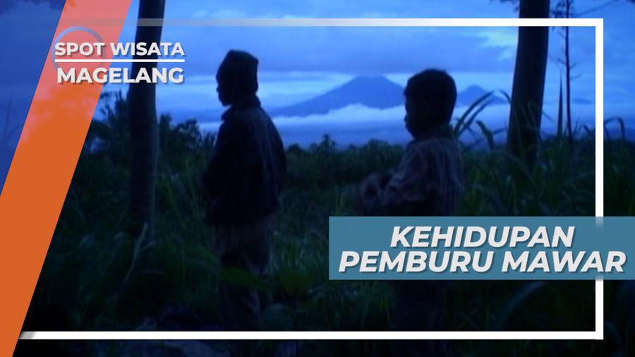 Perbekalan Ala Kadarnya untuk Menemani Perburuan Malam Hari, Magelang
