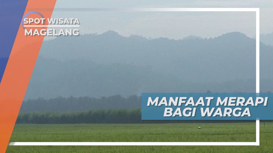 Musibah Membawa Berkah, Letusan Merapi Menghancurkan, Namun Subur di Tanah Magelang