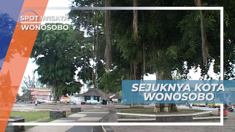 Kota Sejuk Wonosobo,  Beralam Indah Berudara Bersih