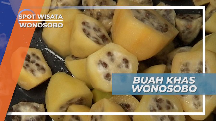 Buah Carica, Tanaman Dataran Tinggi Khas Wonosobo