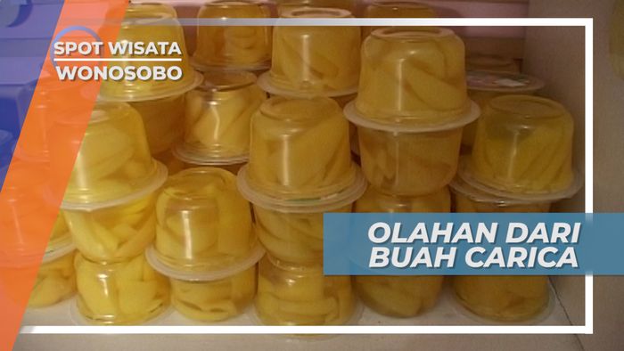 Buah Carica, Olahan Manisan Buah Tangan Wonosobo