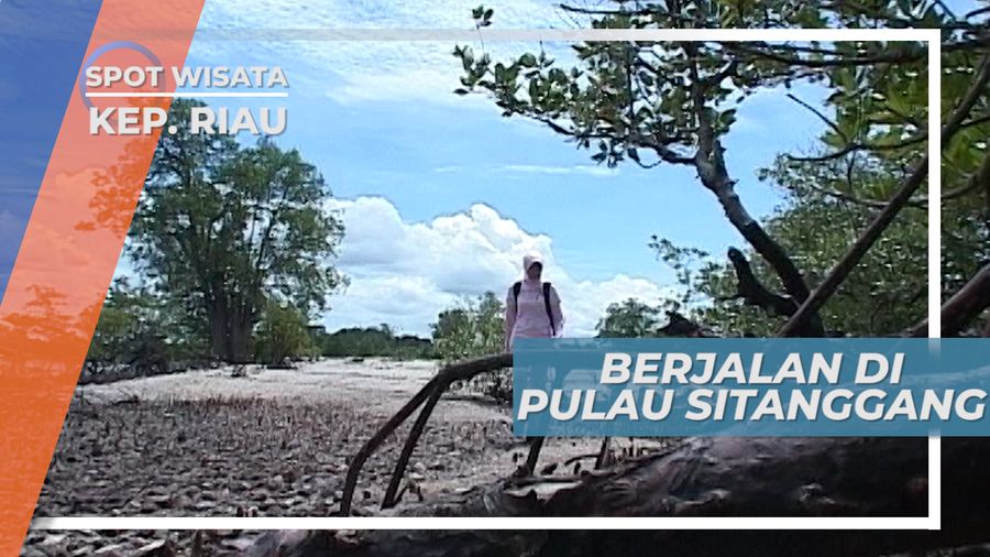 Pulau Sitanggang, Sepinya  Bersama Bulir-Bulir Pasir Pulau Sitanggang Kepulauan Riau