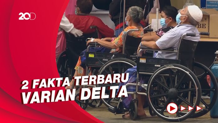 Jumlah Virus Varian Delta 1620 Kali Lebih Tinggi dari Varian Biasa