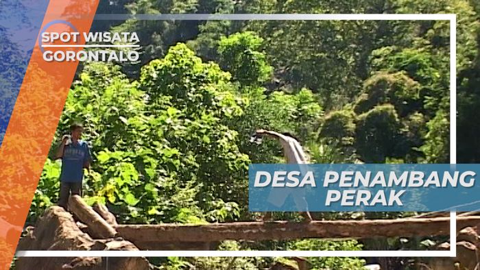 Desa Bunga Hijau, Rumahnya Para Penambang Perak, Gorontalo