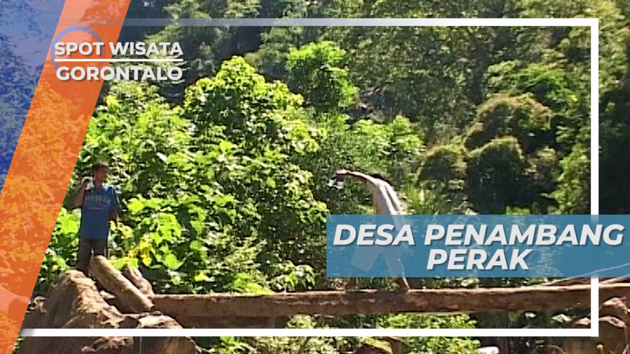Desa Bunga Hijau, Rumahnya Para Penambang Perak, Gorontalo