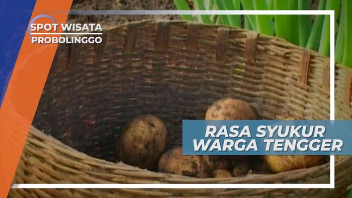 Tradisi Upacara Untuk Mengungkapkan Rasa Syukur Masyarakat Suku Tengger, Probolinggo
