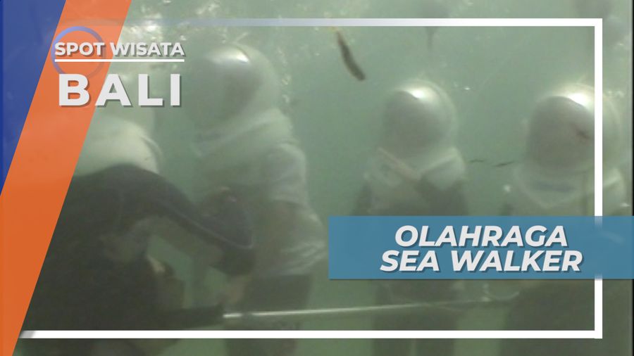 Sea Walker, Menapaki Dasar Laut Bali Melihat Indahnya Bawah Air Pantai Sanur 