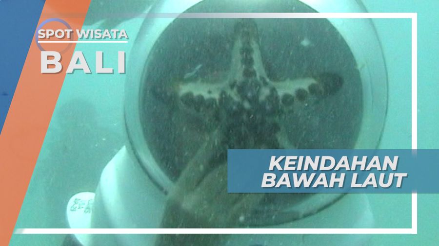 Indahnya Bawah Laut Jauh Lebih Indah Bila Kita Berjalan di Dasar Pasir Pulau Bali