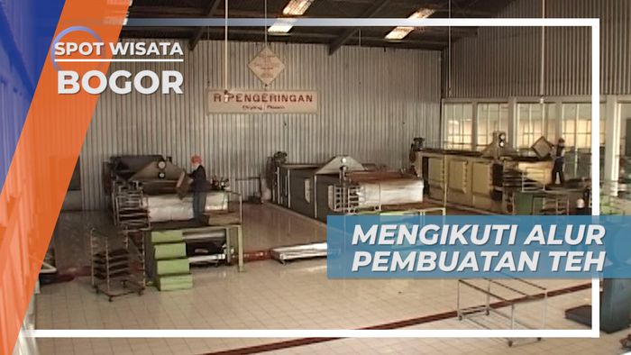 Proses Pembuatan Di Pabrik Teh Bogor