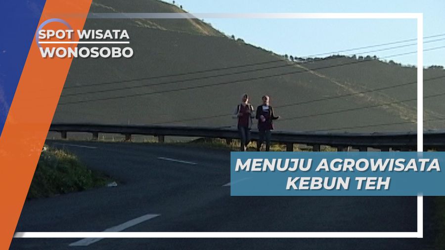 Jelajah Alam Wonosobo, Agrowisata Kebuh Teh yang Sejuk