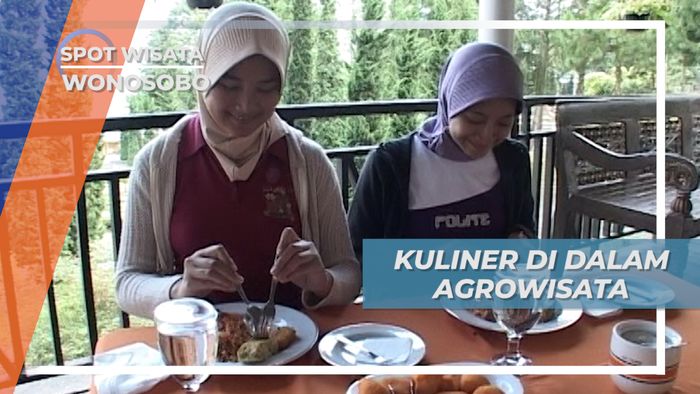 Jelajah Alam Wonosobo, Icip Kuliner Di Kebun Teh