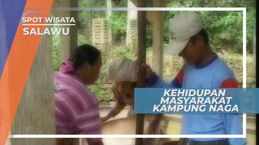Hamparan Sawah dan Alam Hijau di Kampung Naga Salawu Jawa Barat