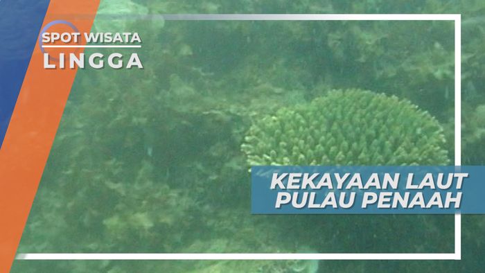 Mengenal Kabupaten Lingga, Pulau Penaah yang Kaya Akan Biota Laut