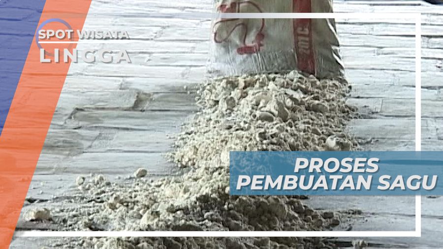 Proses Pembuatan Sagu dari Pohon Rumbia, Lingga