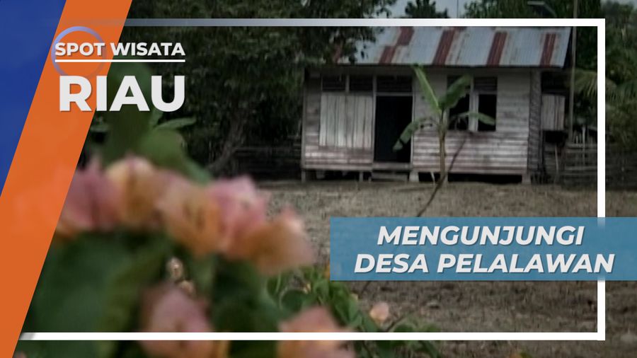 Rumah Panggung Desa Pelalawan Riau