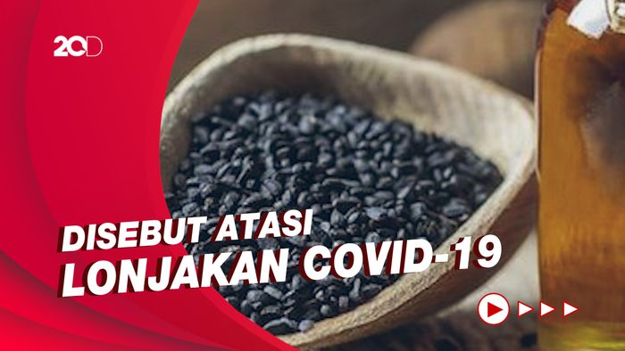 Habbatussauda Diklaim Dapat Hentikan Infeksi Paru Akibat Corona