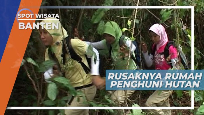 Kondisi Hutan Cagar Alam di Selatan Banten