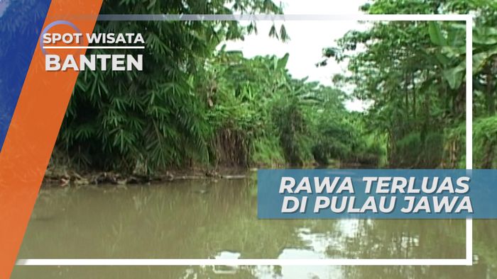 Cagar Alam Rawa Danau Banten, Rawa Terluas di Pulau Jawa