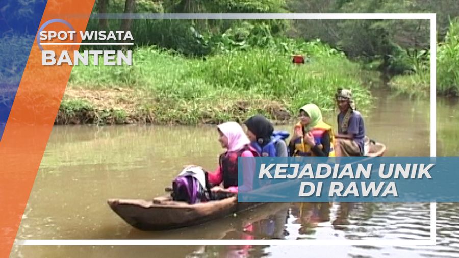 Fenomena Alam di Cagar Alam Rawa Danau, Banten