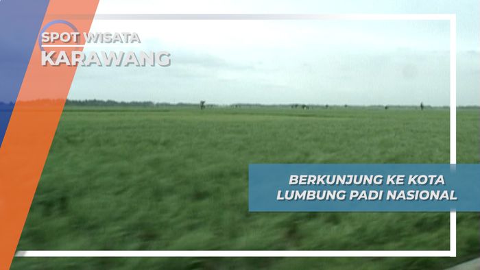 Sawah Melimpah di Karawang, Kota Lumbung Padi Nasional