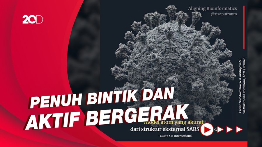 Penampakan 3D Struktur Luar Virus Corona Buatan Ilmuwan Rusia