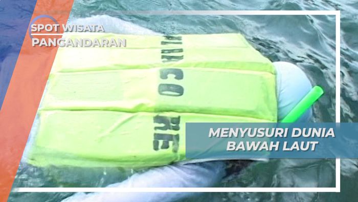 Menyusuri Indahnya Dunia Bawah Laut Pangandaran