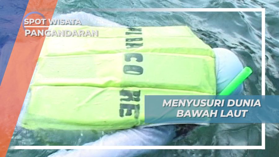 Menyusuri Indahnya Dunia Bawah Laut Pangandaran