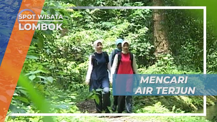 Asri dan Sejuk, Perjalanan Menembus Hutan di Taman Nasional Gunung Rinjani Lombok