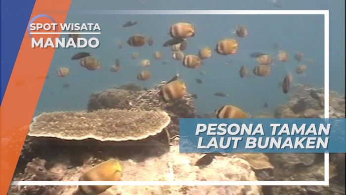 Pesona Keindahan Surga Bawah Laut Bunaken, Sulawesi Utara