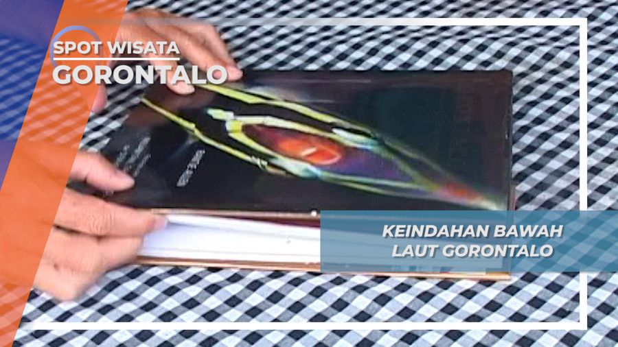 Mengenal Lebih Jauh Mengenai Keindahan Bawah Laut Pantai Olele, Gorontalo