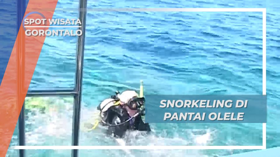Melihat Langsung Kehidupan Dasar Laut dengan Snorkling, Gorontalo 