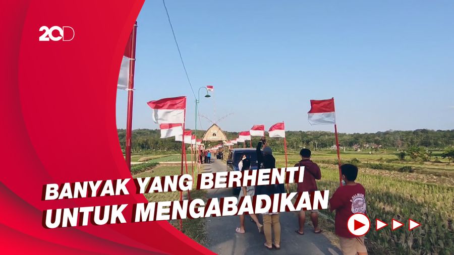 Persawahan Kulon Progo Pasang Seribu Bendera Merah Putih untuk HUT RI