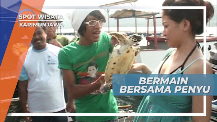 Melepas Penyu Kembali ke Laut, Pulau Menyawakan, Karimunjawa