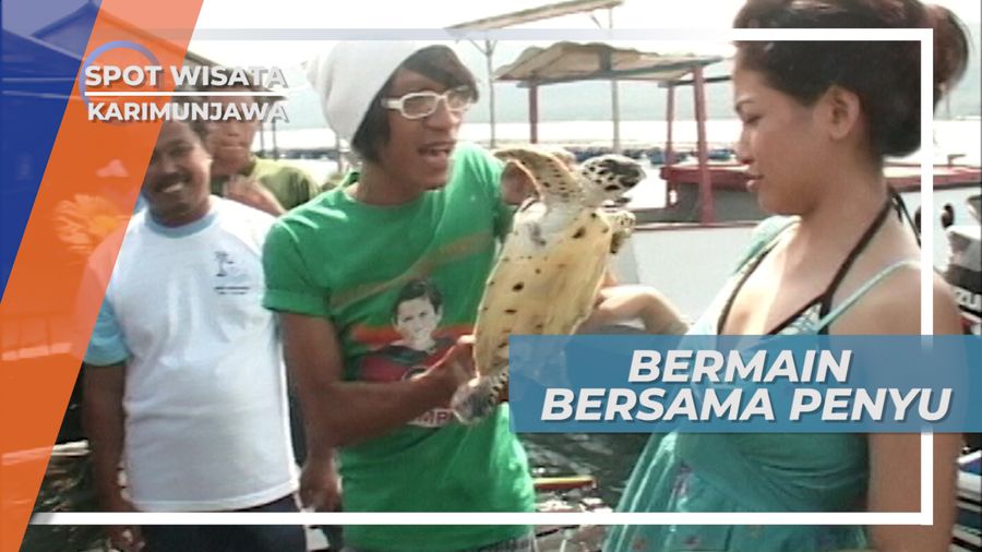 Melepas Penyu Kembali ke Laut, Pulau Menyawakan, Karimunjawa