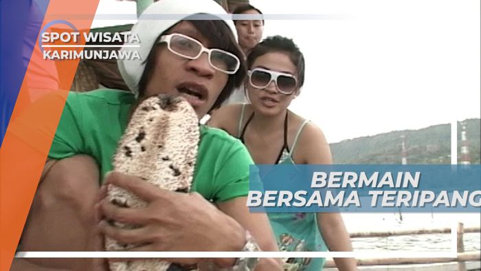 Teripang, Timun Laut Kaya Manfaat yang Memiliki Harga Jual Tinggi, Karimunjawa