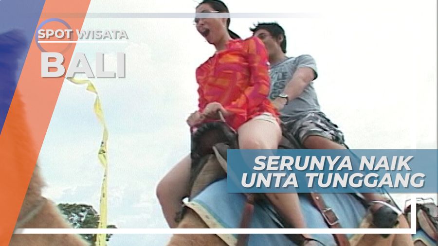 Senasi Naik Unta Tunggang, Wahana Seru di Nusa Dua, Bali