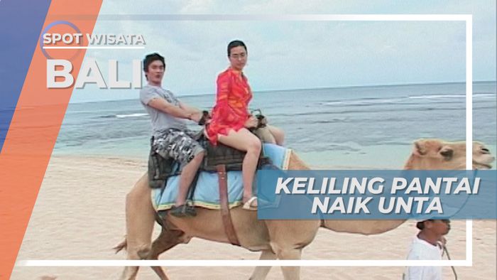 Jalan-jalan Keliling Pantai dengan Menunggang Unta, Bali