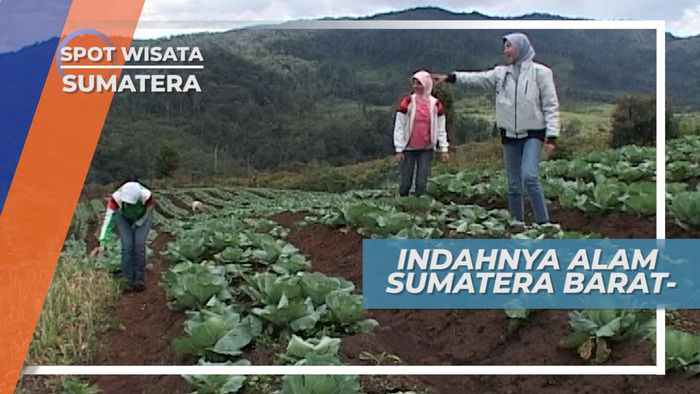 Menikmati Keindahan Alam Alahan Panjang Kabupaten Solok Sumatera Barat