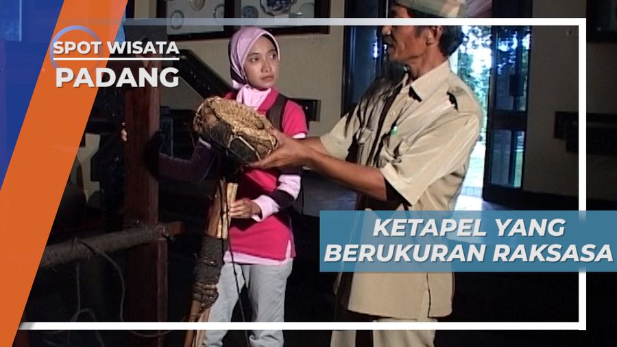 Ketapel Berukuran Raksasa, Peninggalan Tuanku Imam Bonjol, Padang