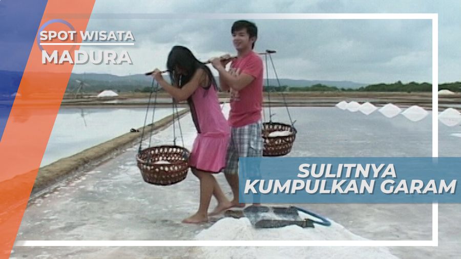 Sulitnya Berjuang Menumpulkan Garam di Terik Matahari, Madura