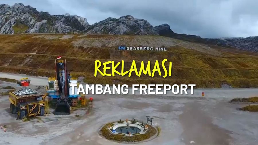 Gencarkan Restorasi Lahan, Freeport Tanam Rumput di Eks Tambang Grasberg
