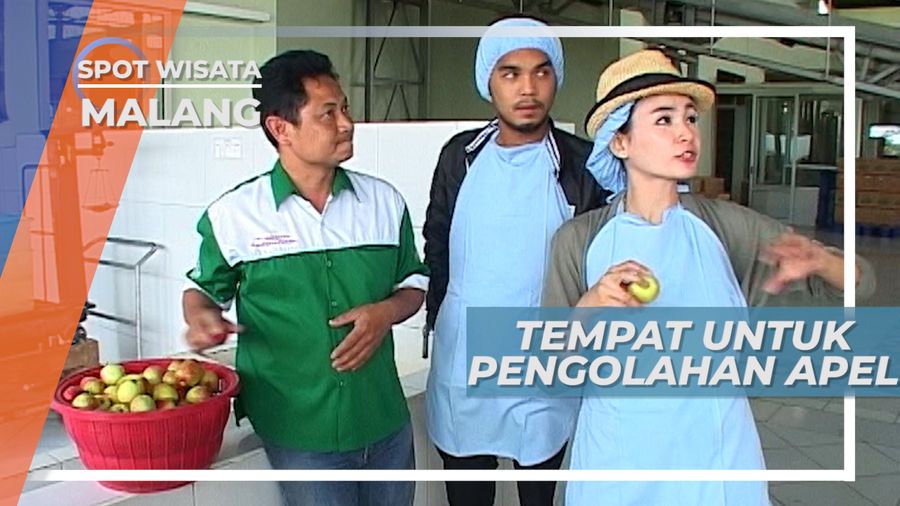 Berkunjung Ke Tempat Pengolahan Buah Apel, Malang
