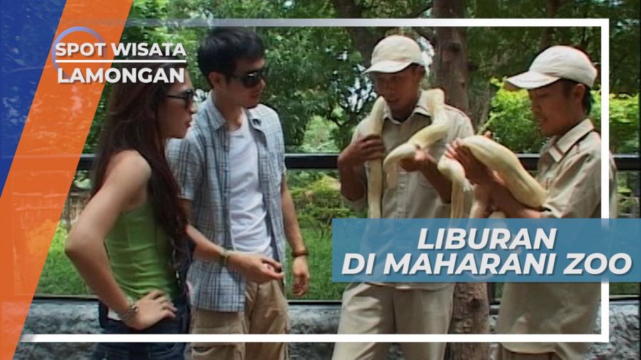 Sensasi Bermain Dengan Ular Besar di Objek Wisata Andalan Warga Lamongan