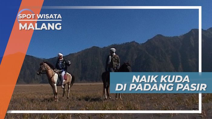 Berkuda di Lautan Pasir Bromo, Bak Berkunjung Di Luar Negeri