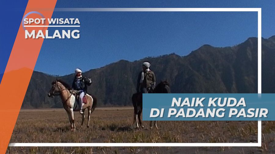 Berkuda di Lautan Pasir Bromo, Bak Berkunjung Di Luar Negeri