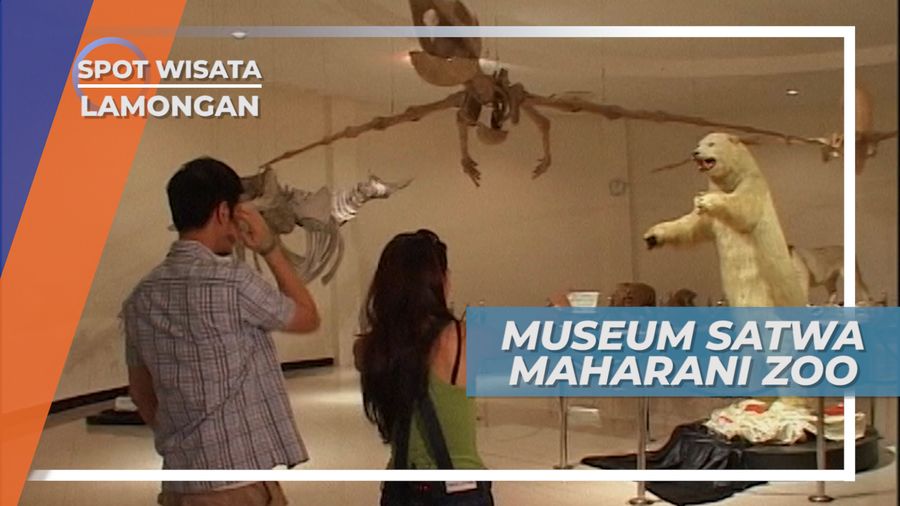 Museum Satwa Maharani Zoo Lamongan