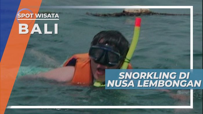 Snorkling di Nusa Lembongan Bali