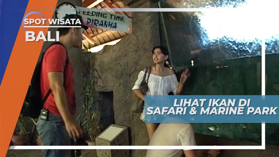 Mengunjungi Objek Wisata Satwa Berkelas Internasional, Bali