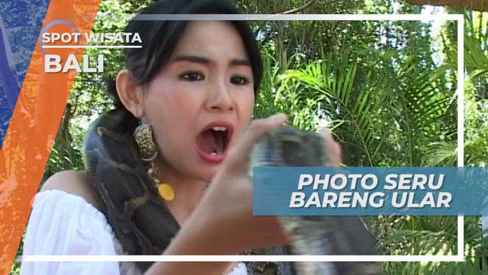 Berfoto Ria Dengan Ular Jinak di Kawasan Wisata Gianyar Bali