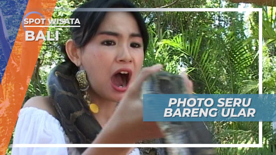 Berfoto Ria Dengan Ular Jinak di Kawasan Wisata Gianyar Bali